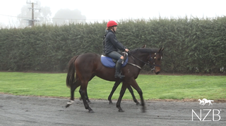 The Frankel x Assume filly being educated at Riversley Park.
